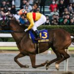 ［牝系図鑑］サンデーサイレンスとの出会いで才能開花。コパノリッキーを輩出したアリーウイン牝系。