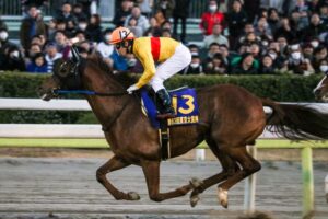 ［牝系図鑑］サンデーサイレンスとの出会いで才能開花。コパノリッキーを輩出したアリーウイン牝系。