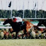 母と仔、二代の物語。優駿牝馬に挑んだ下河辺の宝物。ダイワエルシエーロとロンドンブリッジ。