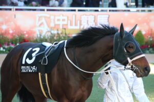 ［平安S］改修後初の京都ダート重賞。前走で9馬身差勝利を収めたグロリアムンディらが集結。 - 重賞プレビュー