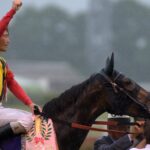 時に運命は、コイントスのように - 2011年オークス・エリンコート