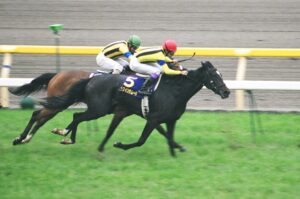 ダンス兄妹と府中の直線 - 2006年第1回ヴィクトリアマイル・ダンスインザムード