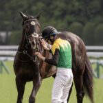 ［エッセイ］天皇賞春を受け、感じたこと。真面目と呼ばれた私を元気付けてくれた名馬、タイトルホルダーへ。