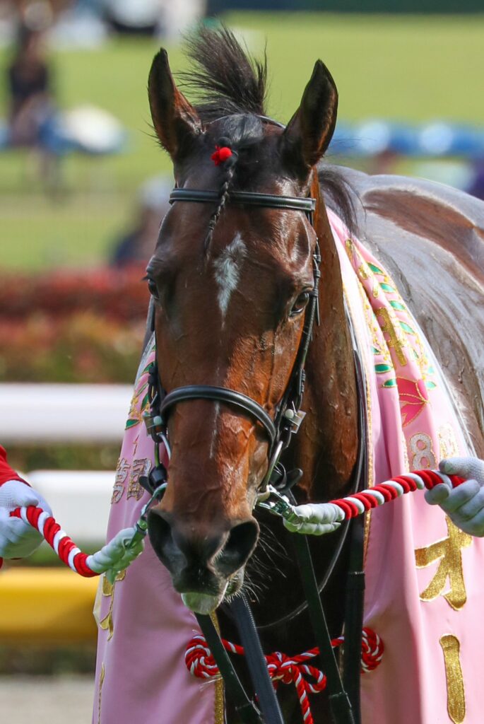 重賞回顧］牝馬三冠すらも通過点か。歴史的圧勝を演じたリバティ