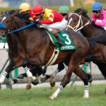 ［牝系図鑑］柔らかさ、持続性能の高さとパワーで活躍。ヴェラアズールやアヴェンチュラを輩出したムーンインディゴ牝系。