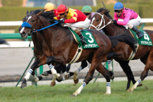 競馬　ヴェラアズール　アイドルホース　優勝レイ　馬着 競馬 ヴェラアズール アイドルホース 優勝レイ 馬着 ジャパンC