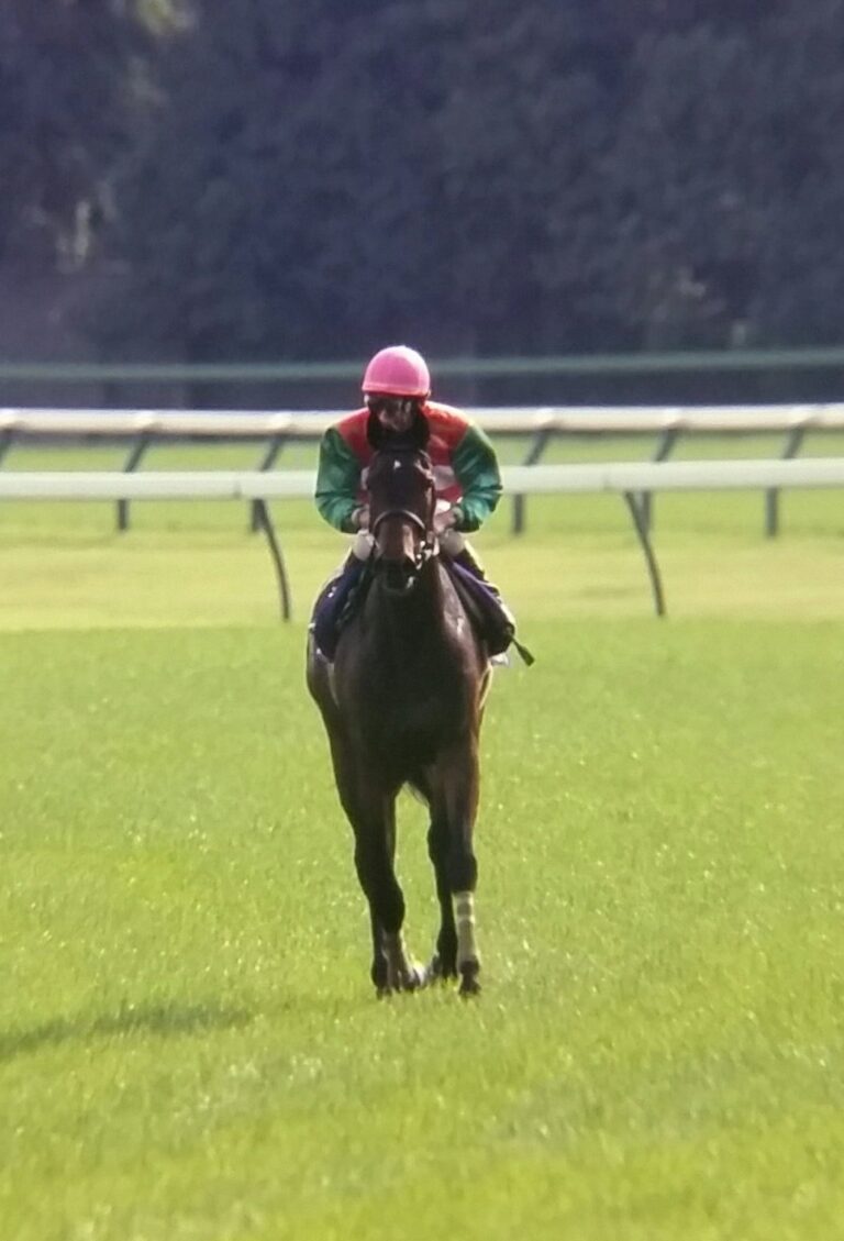 ウメノファイバー単勝馬券 その他
