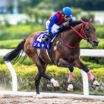 地方競馬場を股に掛けて活躍。吉原寛人騎手とソルテの快進撃を振り返る。
