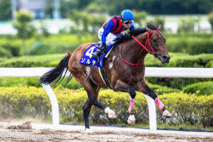 地方競馬場を股に掛けて活躍。吉原寛人騎手とソルテの快進撃を振り返る。