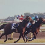 ”そよ風”は今も胸の中に。 - 魂の馬、ヤマニンゼファー