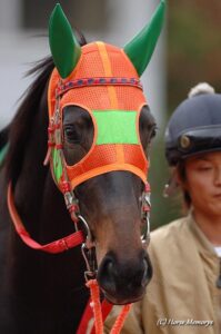 「黄金旅程　第二章」、ここに始まる～2006年マーメイドステークス・ソリッドプラチナム～