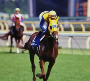 ［安田記念］エアジハードにグランアレグリア…。安田記念で単勝1倍台の絶対的本命馬を撃破した名馬たち