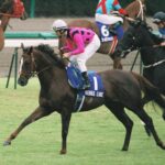 北の大地であっと驚く大外強襲劇 - 2006年函館スプリントS・ビーナスライン
