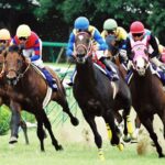 「最強世代」、1年遅れのG1制覇。ダンツフレームが制した2002年の宝塚記念