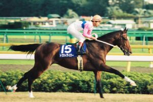 トウカイテイオーが演じた「連続ドラマ」。トウカイテイオーの奇跡を振り返る