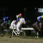 白雪の女王ユキチャン 伝説の関東オークス8馬身差圧勝