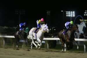 白雪の女王ユキチャン 伝説の関東オークス8馬身差圧勝