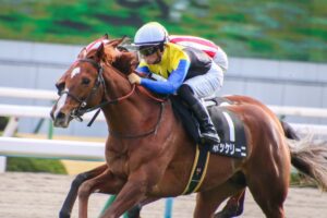 ［鳴尾記念］ボッケリーニ、ソーヴァリアント、カラテ…。ハイレベルな一戦を制して飛躍する馬はどの馬か。 - 重賞プレビュー