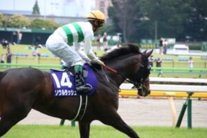 ［競馬ニュース］第1回福島開催の最終週！　ほか - 今週末の競馬（2024年04月20日、21日）