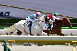 ［新馬戦回顧］白毛馬アマンテビアンコらが勝ち上がり！ -メイクデビューの勝者たち(2023年6月17日)