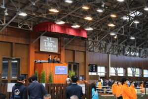 ［連載・馬主は語る］馬体の良さ≒競走成績（シーズン2-20）