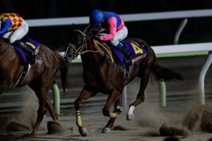 ［地方レース回顧］夏の燕が後方から舞い戻る～2023年・帝王賞～