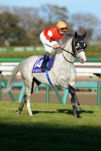 歯車が狂い始めてからも、惨敗を目の当たりにしても…。稀代の個性派、ゴールドシップを想い続けるということ。