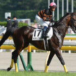 ［キタサンブラック伝説］北村宏司とキタサンブラック。いつかヒロシがふたたび輝く日まで