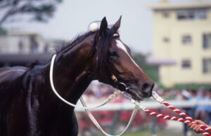 ［トウカイテイオー伝説］カネヒキリ、オフサイドトラップ、そしてテイオー。怪我から見事に復活、ファンの感動を呼んだ名馬たち