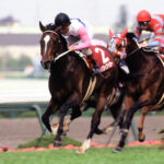 1992osakahai-150x150.jpg