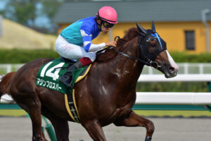 1998年の横浜ベイスターズとマジンプロスパーが叶えた連覇