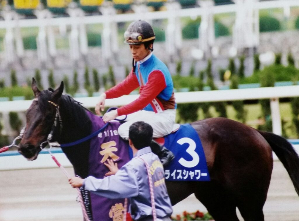 ライスシャワー 馬券 天皇賞春 1995年 最後の勝利 - その他