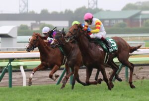 ［重賞回顧］過酷なサバイバルマッチを制したゼルトザームが、世代の一番星に輝く～2023年・函館2歳S～