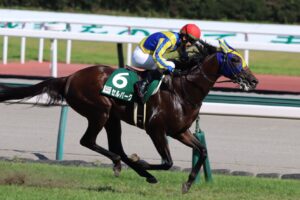［重賞回顧］精密機械のような快心の逃げ！先手必勝で巻き返しに成功したセルバーグが重賞初制覇～2023年・中京記念～