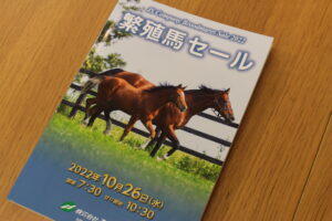 ［連載・馬主は語る］第一候補（シーズン2-22）