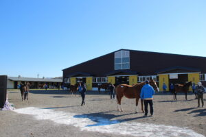 ［連載・馬主は語る］踵を返す（シーズン2-28）