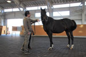 ［連載・馬主は語る］粘り勝ち（シーズン2-30）