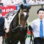 あの長い直線に挑んだ勇者たち。マイネルレコルトの新潟2歳S