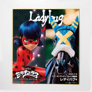 レディバグ号と「ミラキュラス レディバグ&シャノワール」の不思議な関係