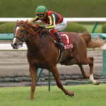 "拝啓、オルフェーヴルさま" - 競馬ライター・勝木淳からの手紙