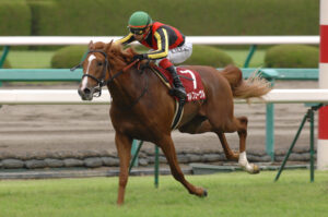 "拝啓、オルフェーヴルさま" - 競馬ライター・勝木淳からの手紙
