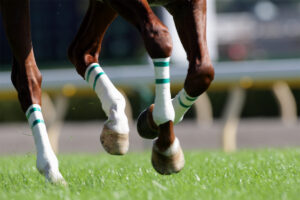 ［連載・馬主は語る］一心同体（シーズン2-32）