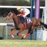 「ファインモーション飛躍!」の起点となった、2002年ローズステークス