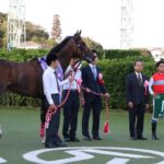 海を渡ったソニンクの血。ディアドラの紫苑ステークス