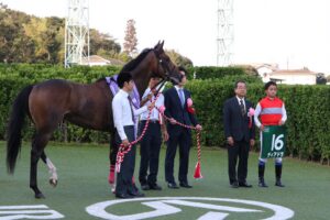 海を渡ったソニンクの血。ディアドラの紫苑ステークス