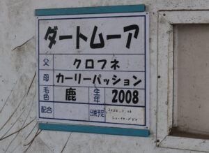 ［連載・馬主は語る］月の満ち欠け（シーズン2-37）