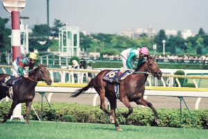 禍福は糾える縄の如し - メジロボサツとメジロドーベル