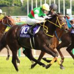 父から受け継いだタフさで39戦を走り抜けて - メイショウサムソン産駒・デンコウアンジュ