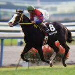 日本で一番速い君へ。光すらも置き去りにしたカルストンライトオ