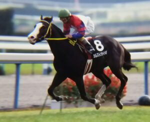 日本で一番速い君へ。光すらも置き去りにしたカルストンライトオ